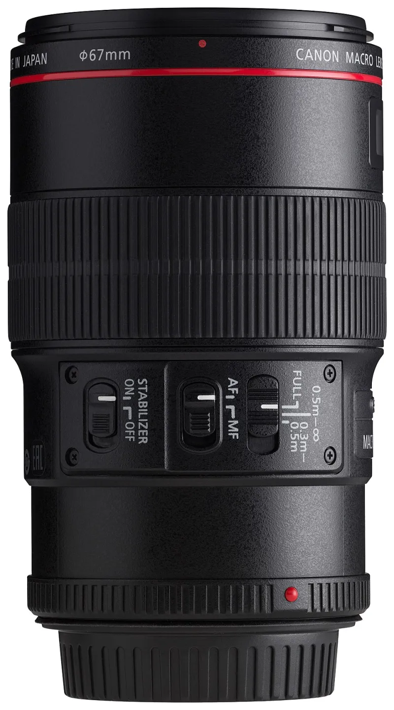 Stop Buying Glass You Don't Need: A Bootstrapped Founder's Guide to Canon Lenses That Actually Pay Off